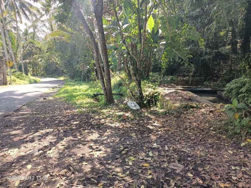 dijual tanah penebel tabanan bali