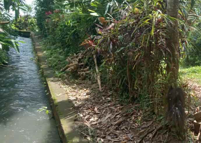 dijual tanah penebel tabanan bali