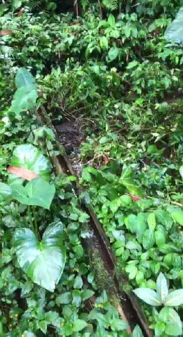 dijual tanah penebel tabanan bali