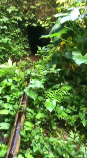 dijual tanah penebel tabanan bali