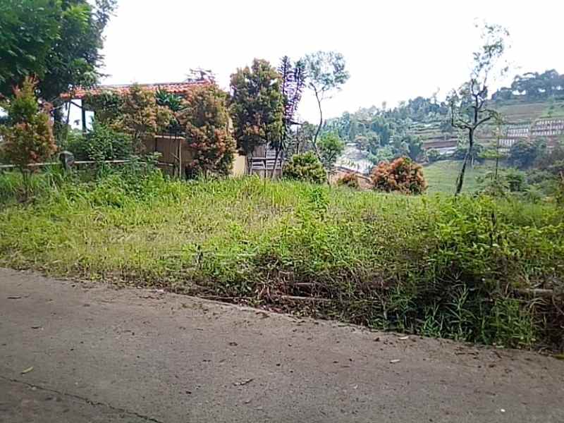 dijual tanah pinggir jalan desa