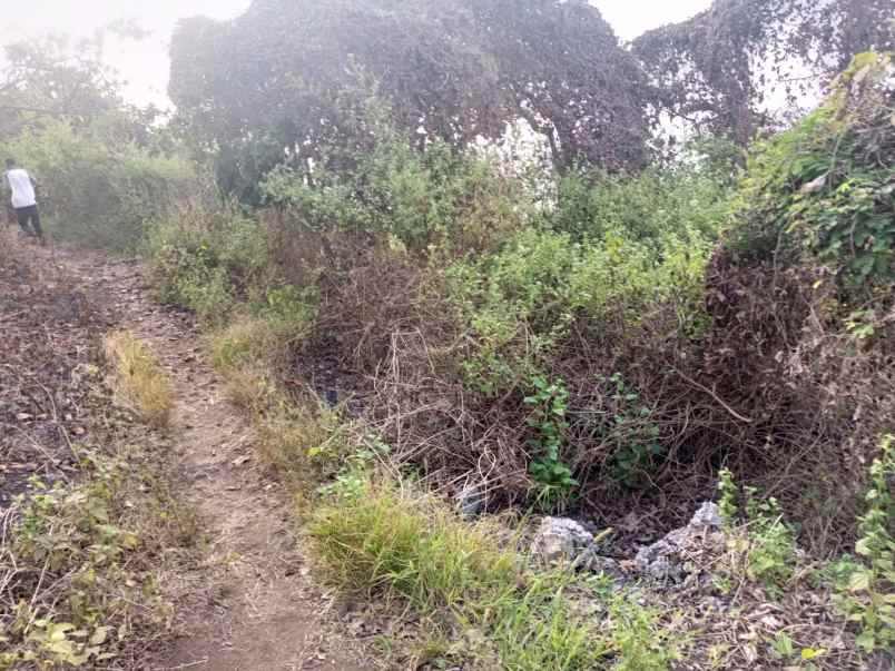 dijual tanah pinggir pantai wee wella