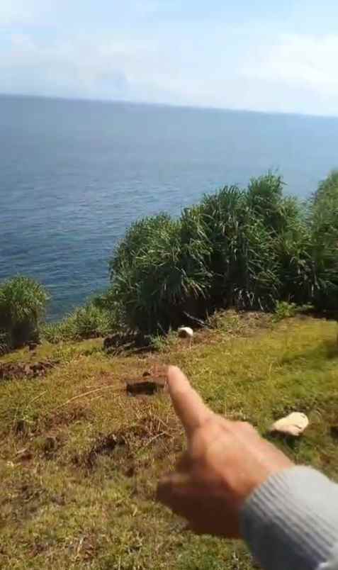 dijual tanah purwodadi tepus