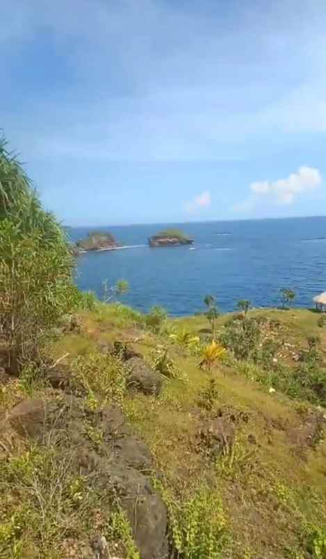 dijual tanah purwodadi tepus