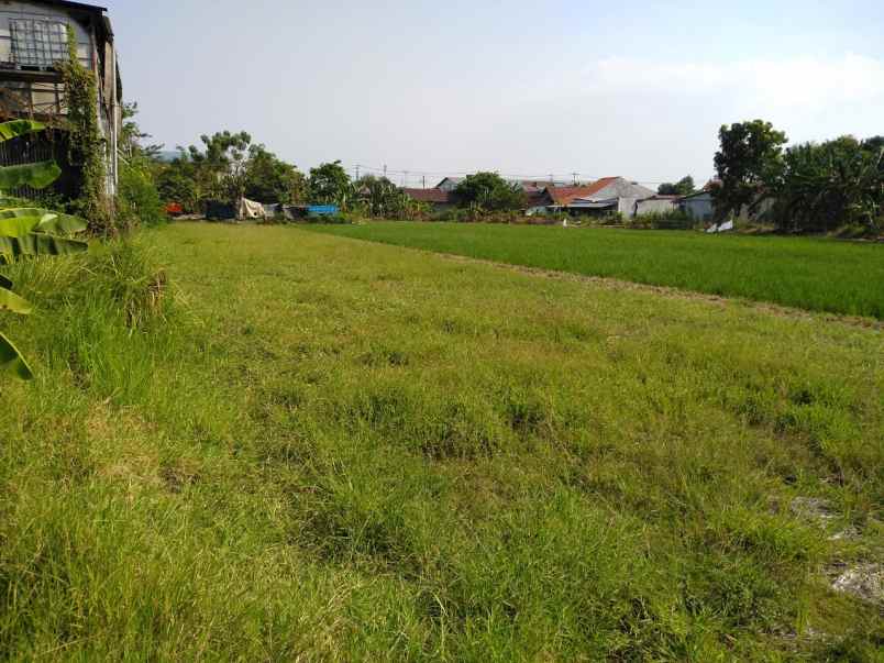 dijual tanah raya buduran