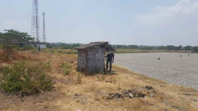 dijual tanah raya bungah gersik