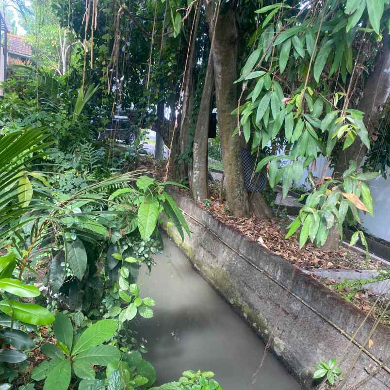 dijual tanah raya canggu