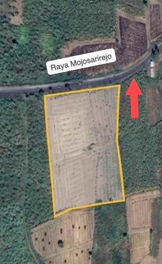 dijual tanah raya mojosarirejo