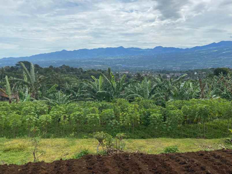 dijual tanah sangat strategis view lepas dicijeruk