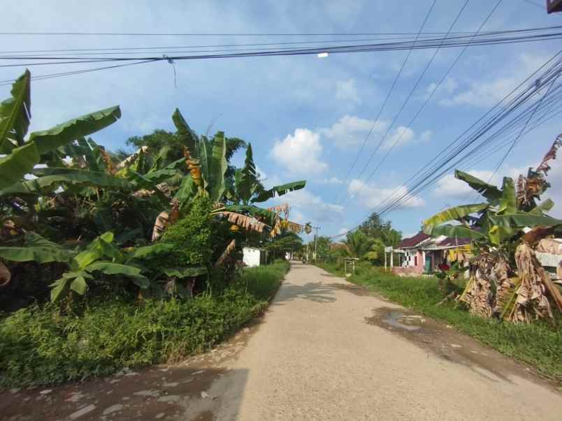 dijual tanah siap bangun lokasi tl jambe lr sekolahan