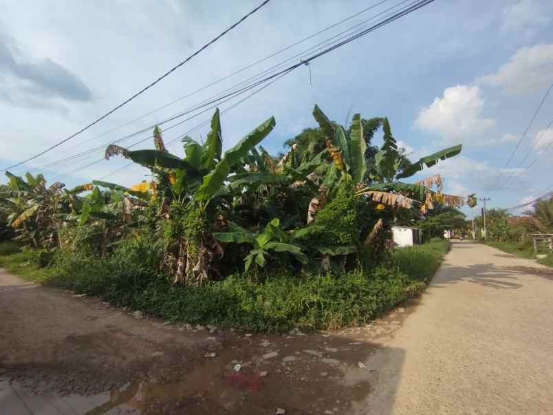 dijual tanah siap bangun lokasi tl jambe lr sekolahan