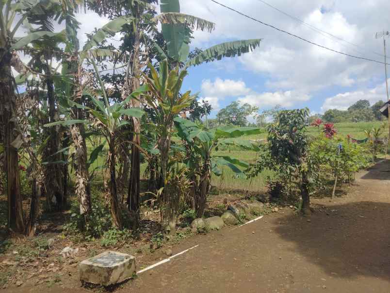 dijual tanah strategis di linggarjati kuningan