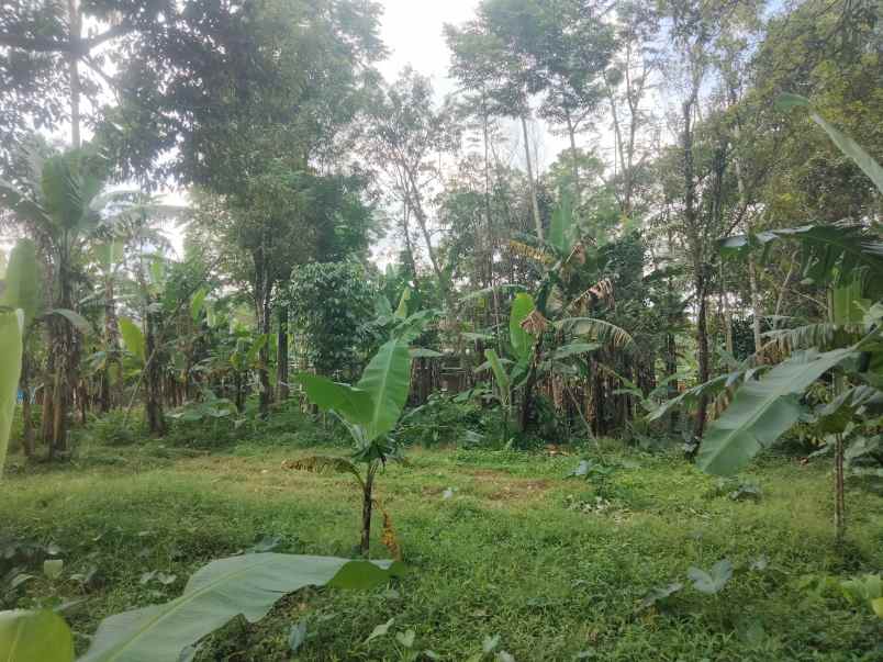 dijual tanah strategis view bagus di linggarjati