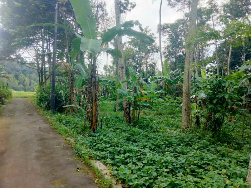 dijual tanah strategis view bagus di linggarjati