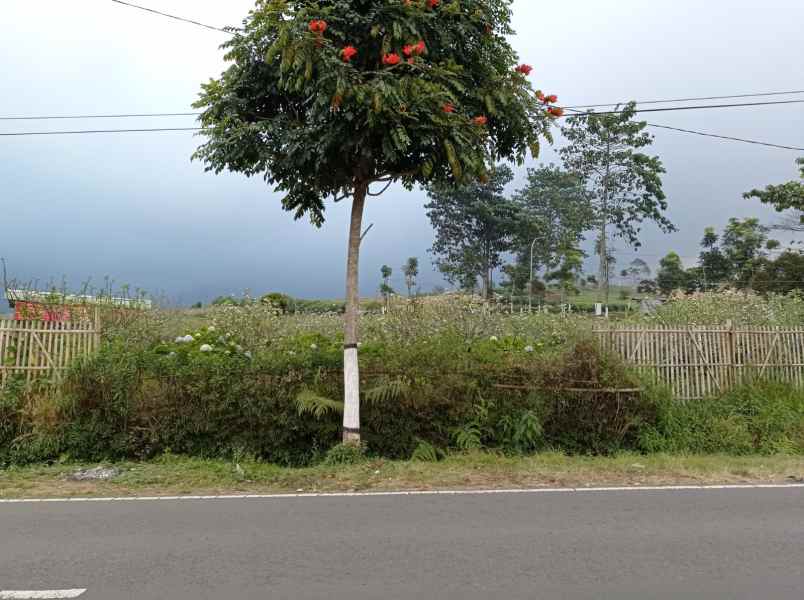 dijual tanah sumber brantas junggo