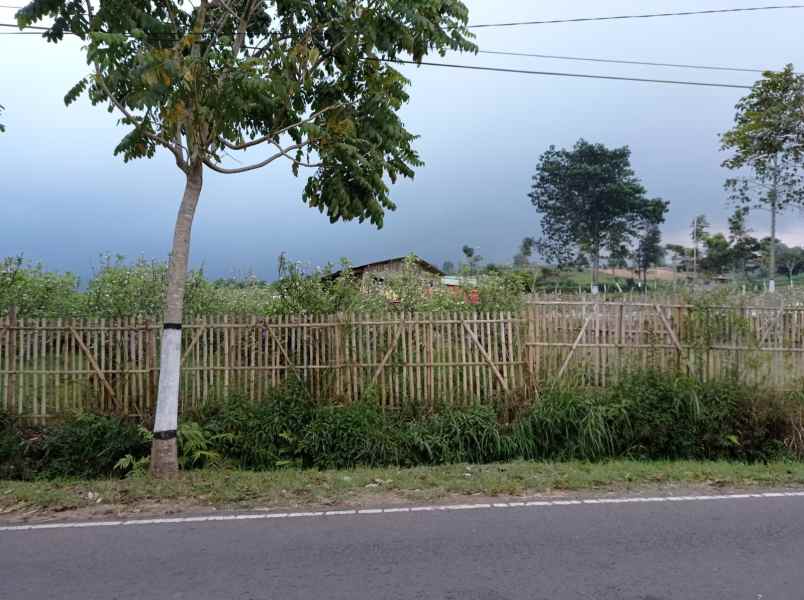 dijual tanah sumber brantas junggo