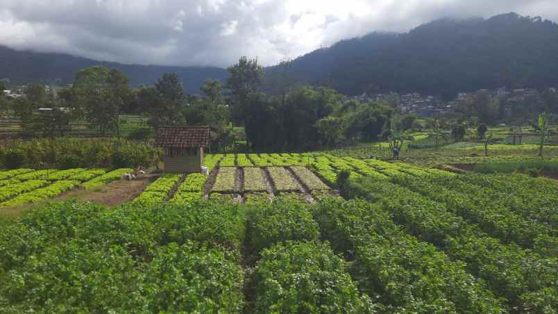 dijual tanah sumberejo kota batu