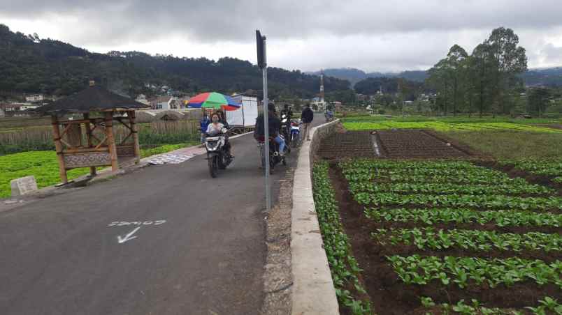 dijual tanah sumberejo kota batu