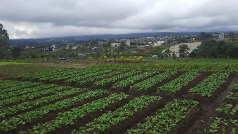 dijual tanah sumberejo kota batu