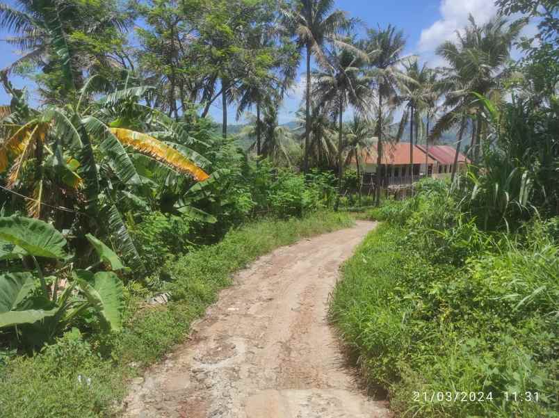 dijual tanah tegal bunder kec