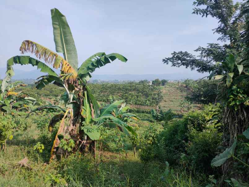 dijual tanah tegal dengel