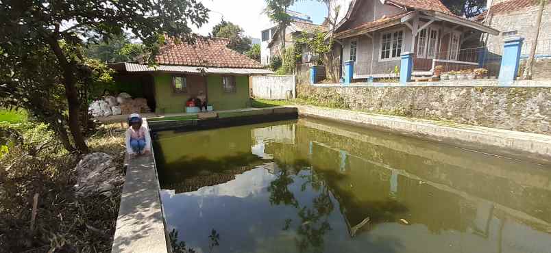 dijual tanah ujungberung kota bandung