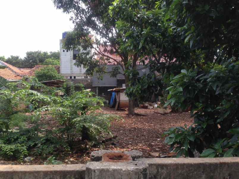 dijual tanah veteran bintaro