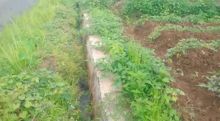 dijual tanah view gunung