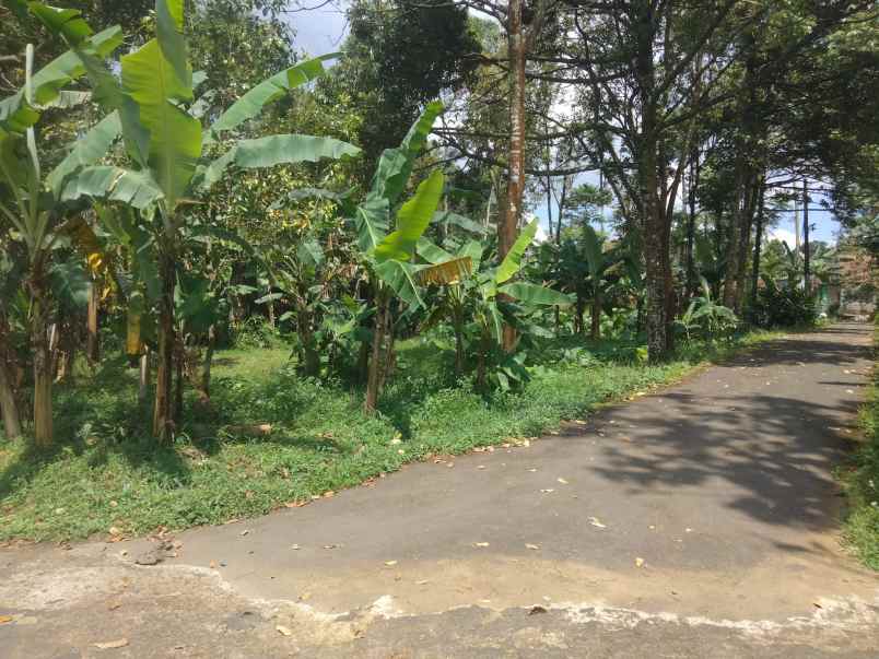 dijual tanah view gunung dan sawah