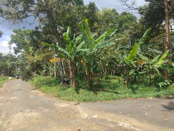 dijual tanah view gunung dan sawah