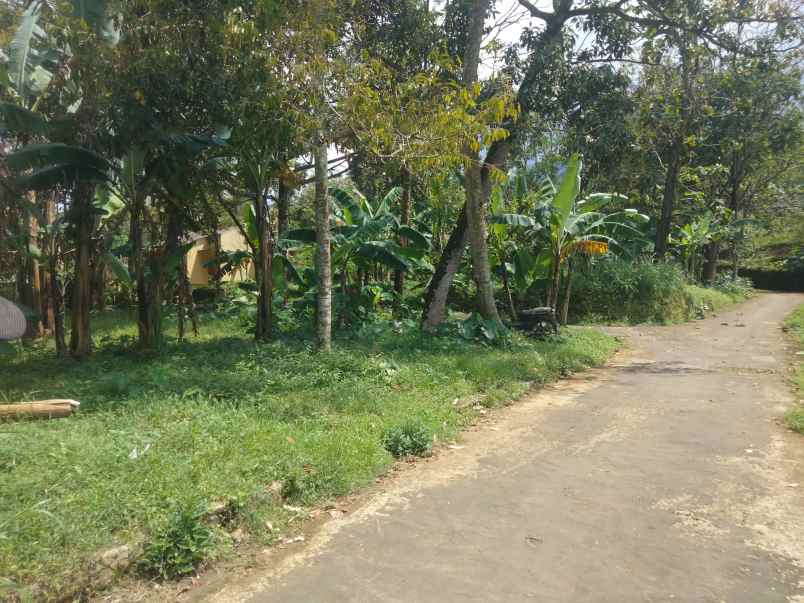 dijual tanah view gunung dan sawah