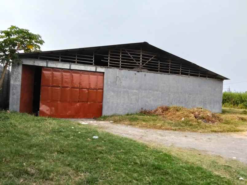 disewakan gudang di sidoarjo