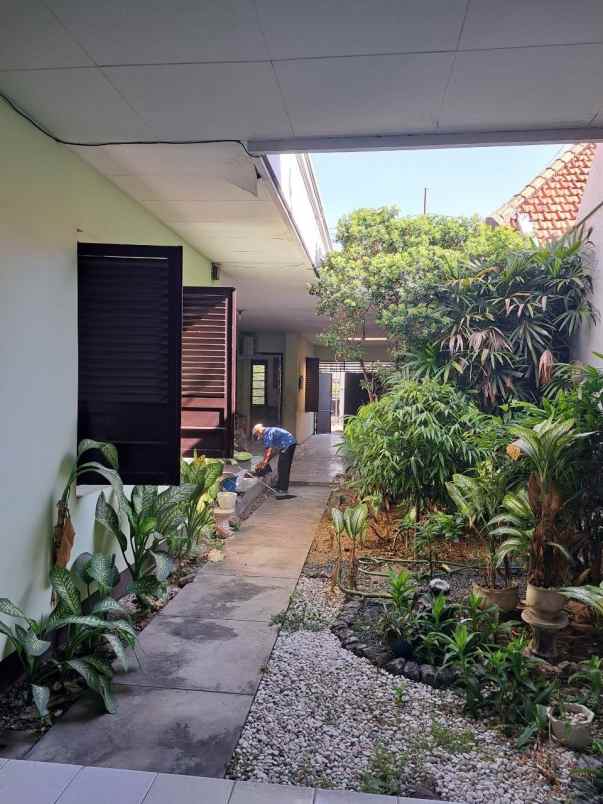 disewakan rumah jl pajajaran tegalsari