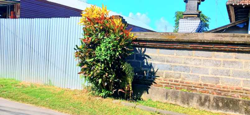 disewakan tanah penatih denpasar timur bali