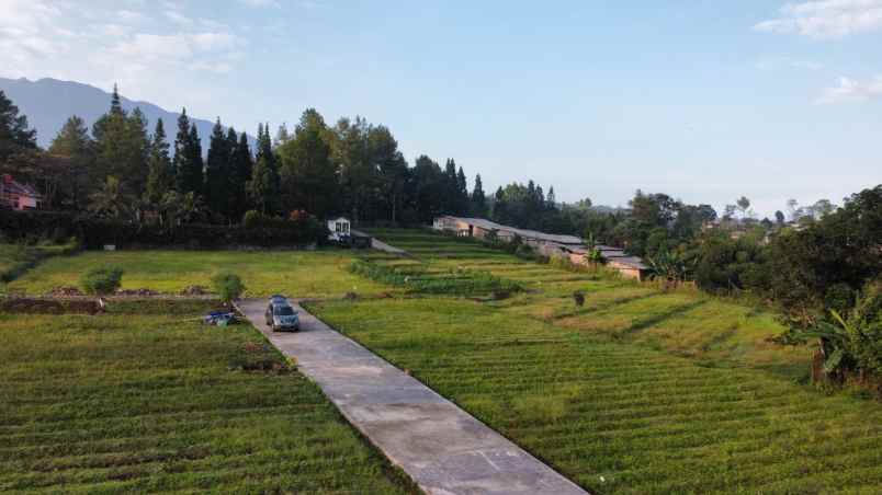 investasi tanah murah puncak bogor view gunung salak