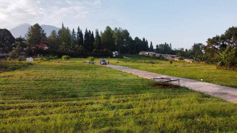 investasi tanah murah puncak bogor view gunung salak