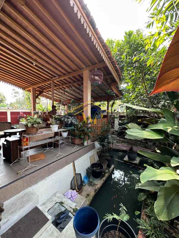 joglo jawa klasik di pakem sleman tanah luas banget