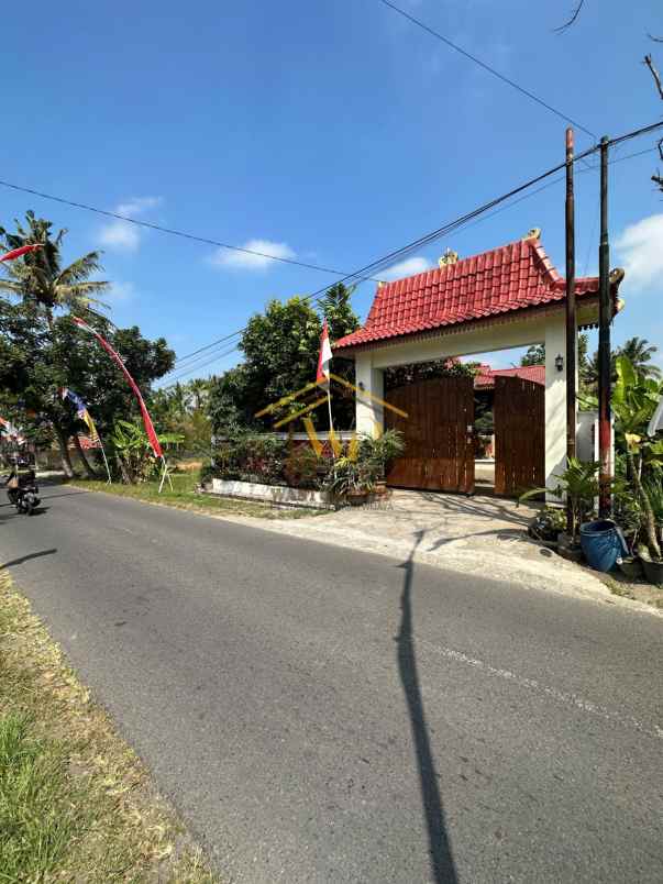 joglo jawa klasik di pakem sleman tanah luas banget