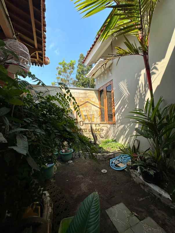 joglo jawa klasik di pakem sleman tanah luas banget