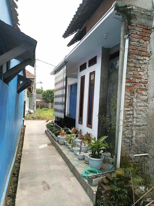 jual rumah cepat nego