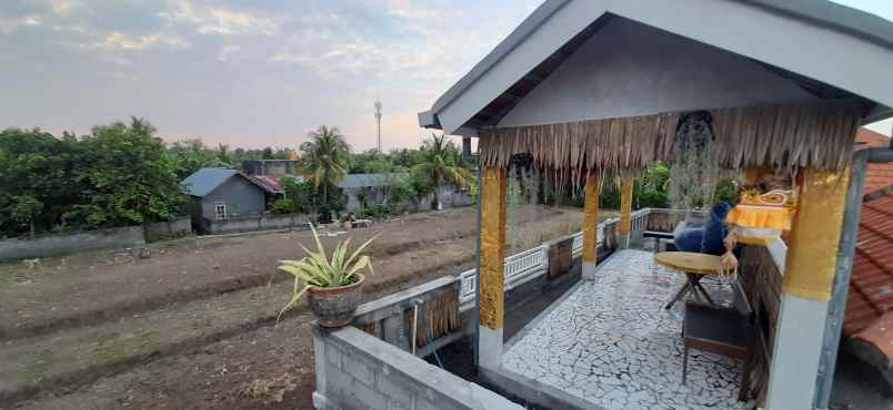 jual rumah semi vila di sentral lovina