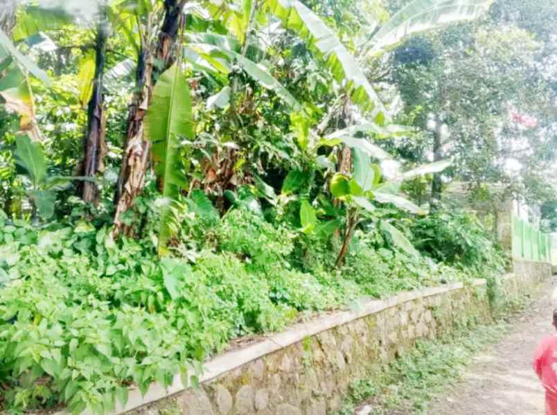 jual tanah 3 270 m2 di karoncong pandeglang banten