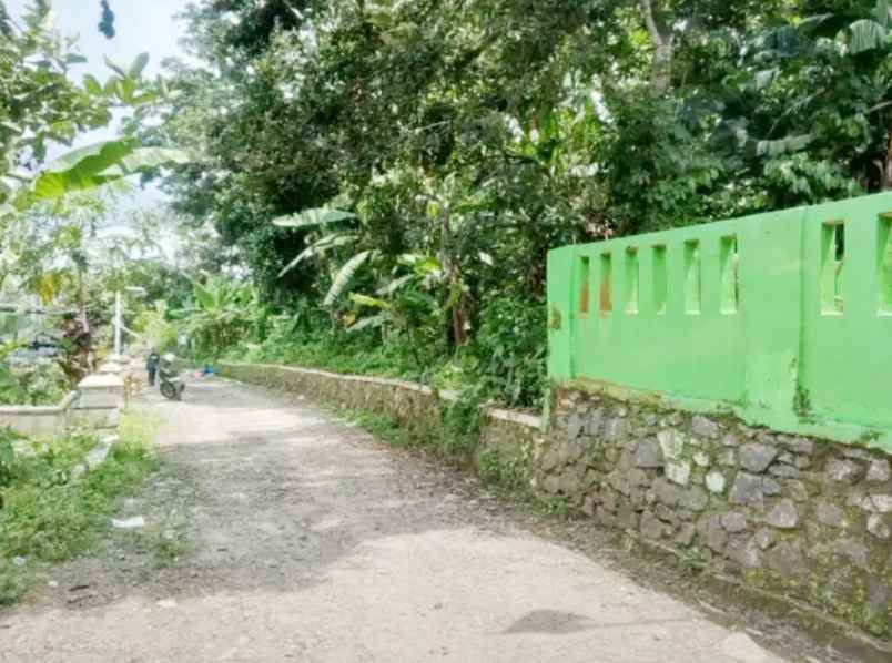 jual tanah 3 270 m2 di karoncong pandeglang banten