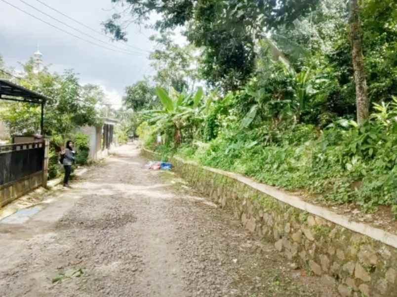 jual tanah 3 270 m2 di karoncong pandeglang banten