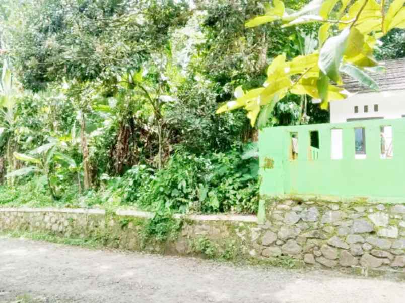 jual tanah 3 270 m2 di karoncong pandeglang banten