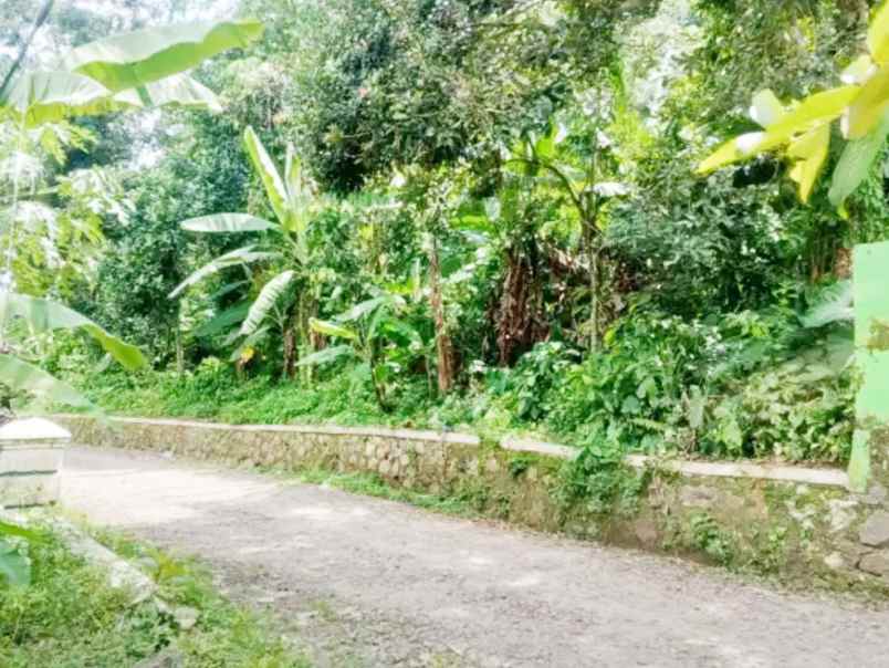 jual tanah 3 270 m2 di karoncong pandeglang banten