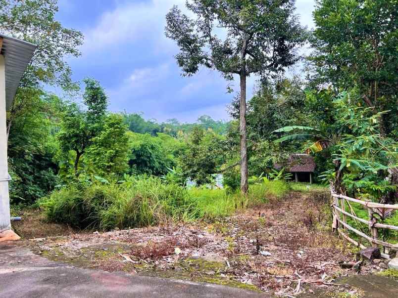 jual tanah bonus rumah joglo mojogedang karanganyar