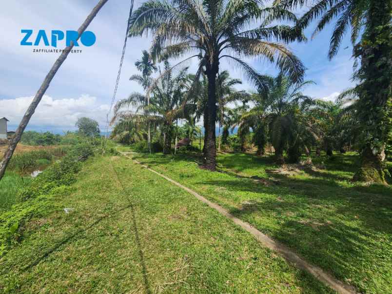 jual tanah cocok peruntukan gudang ataupun kebun sawit