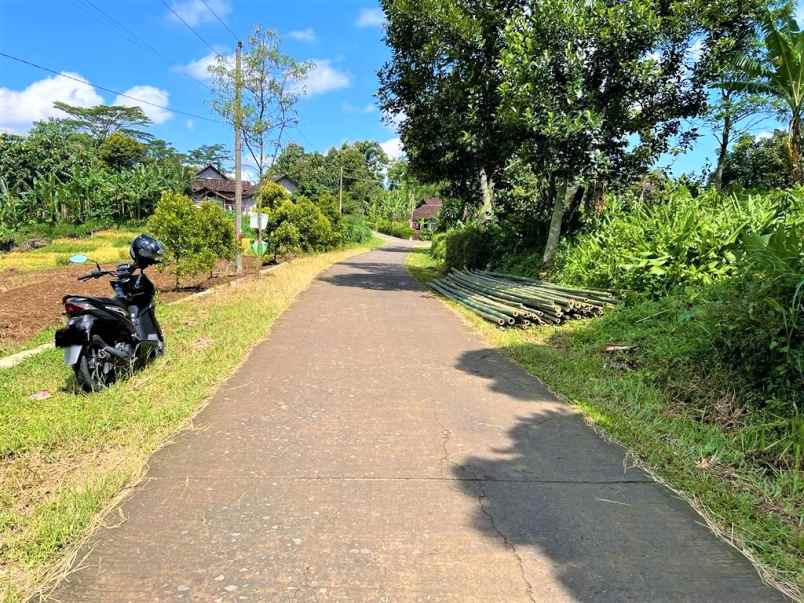 jual tanah kebun durian karanganyar