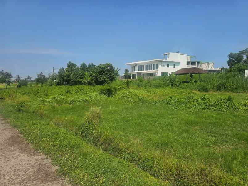 jual tanah lingkungan villa di kedunggu tabanan bali